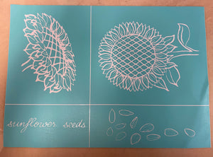Sunflowers and Seeds 8.5" x 12"