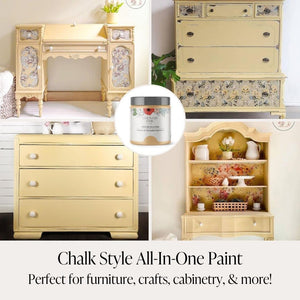 Country Chic All In One Decor Paint Bee's Knees